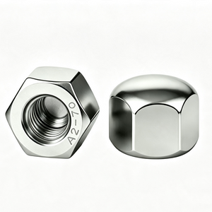 DIN 917 ប្រភេទទាប គ្រាប់ Hexagon Cap Nut